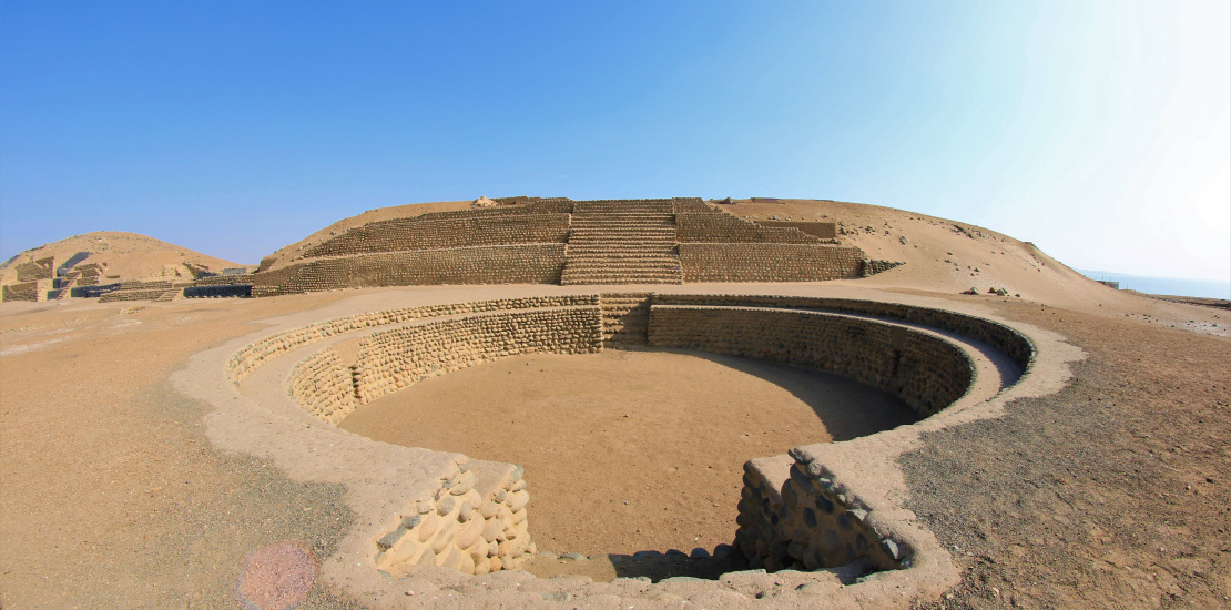 Bandurria después de las intervenciones