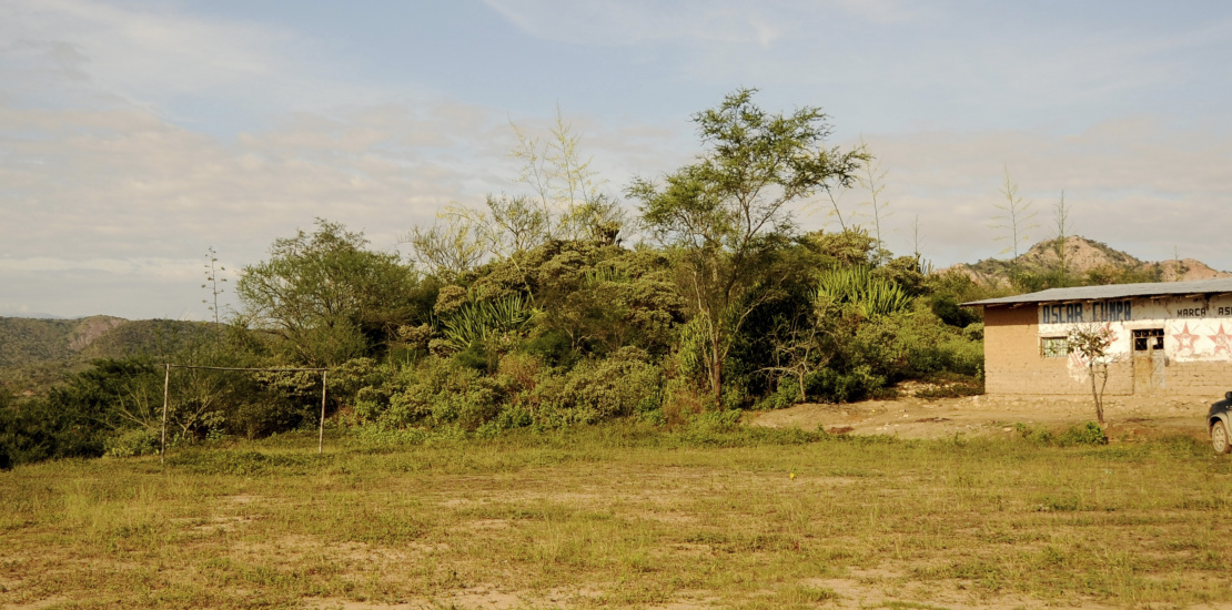 Sitio arqueológico antes de ser intervenido
