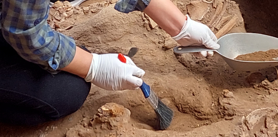 EXCAVACIONES HOSPITAL REAL DE SAN ANDRES 2