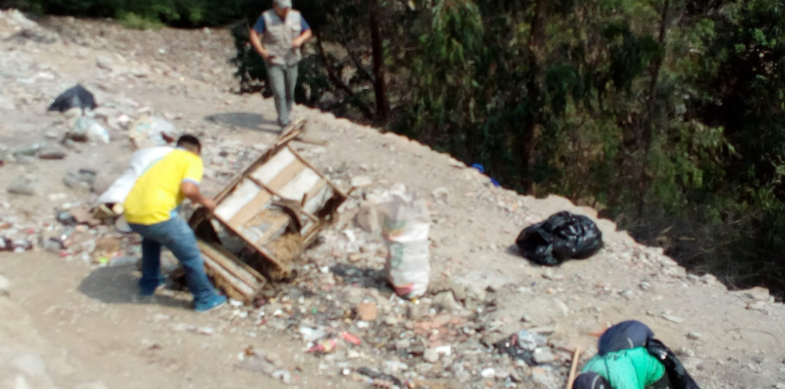 actividades realizadas 2019