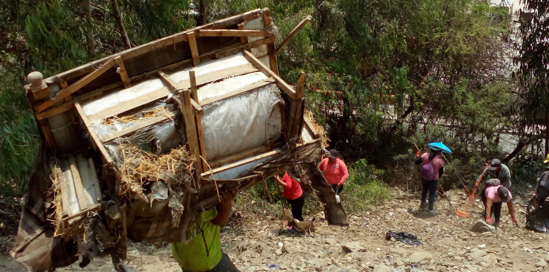 actividades realizadas 2019 -2