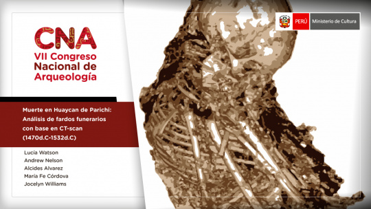 Muerte en Huaycán de Parichi: análisis de fardos funerarios con base en CT-scan (1470 d. C. -1532 d. C.)